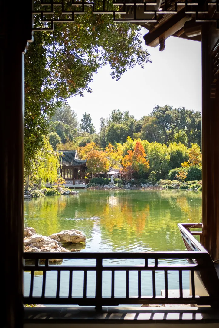 Image in photography gallery