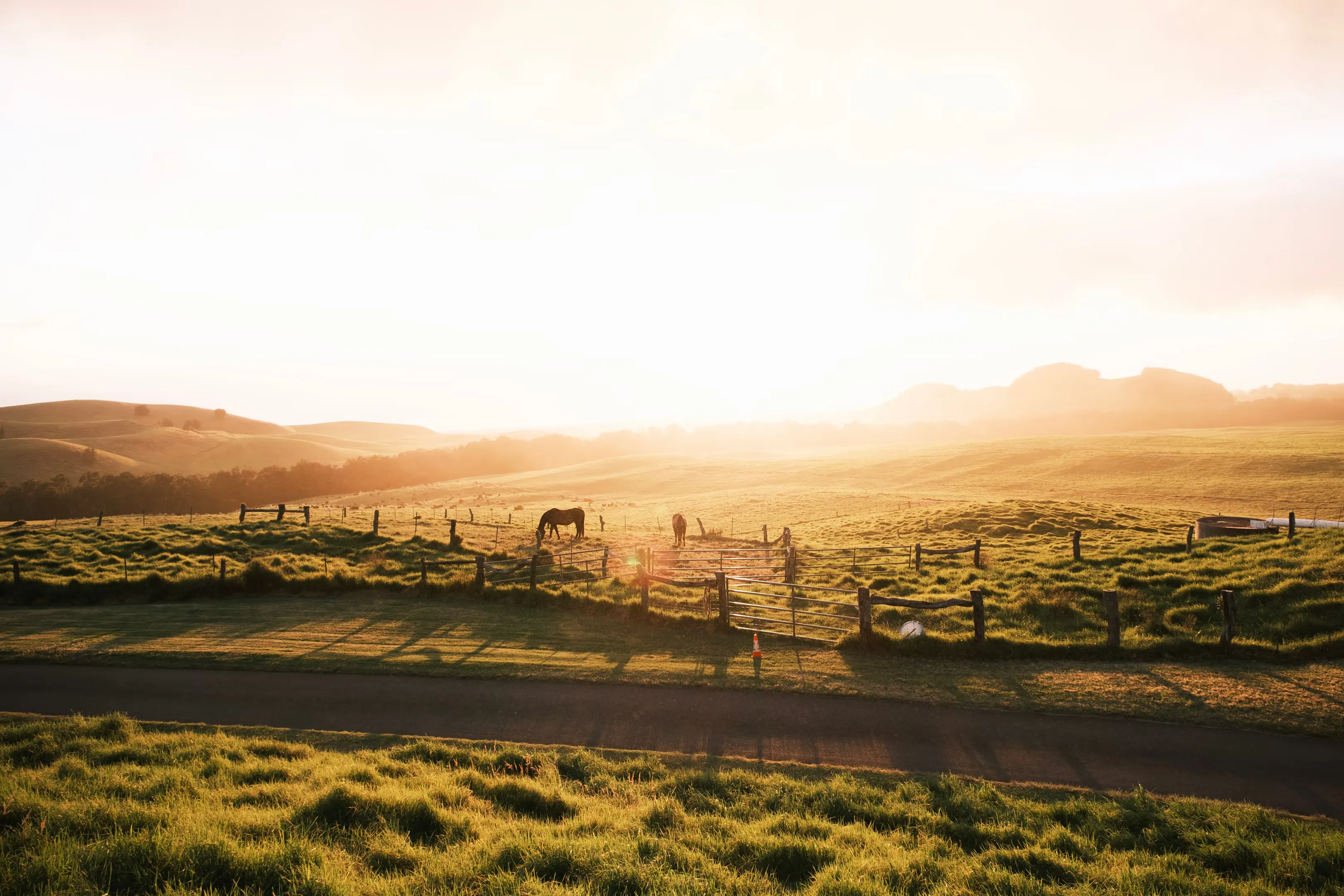 Image in photography gallery