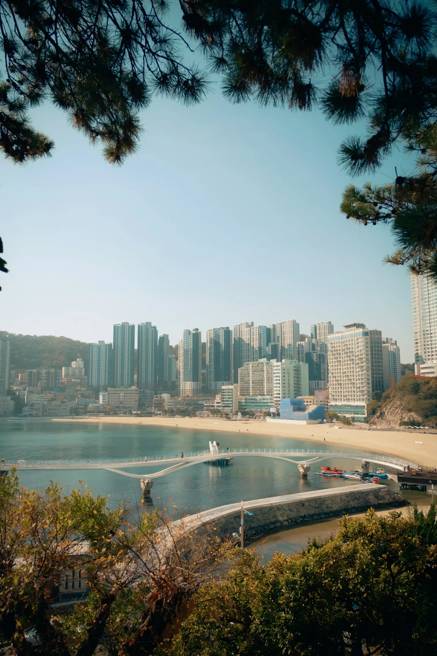 Image in photography gallery