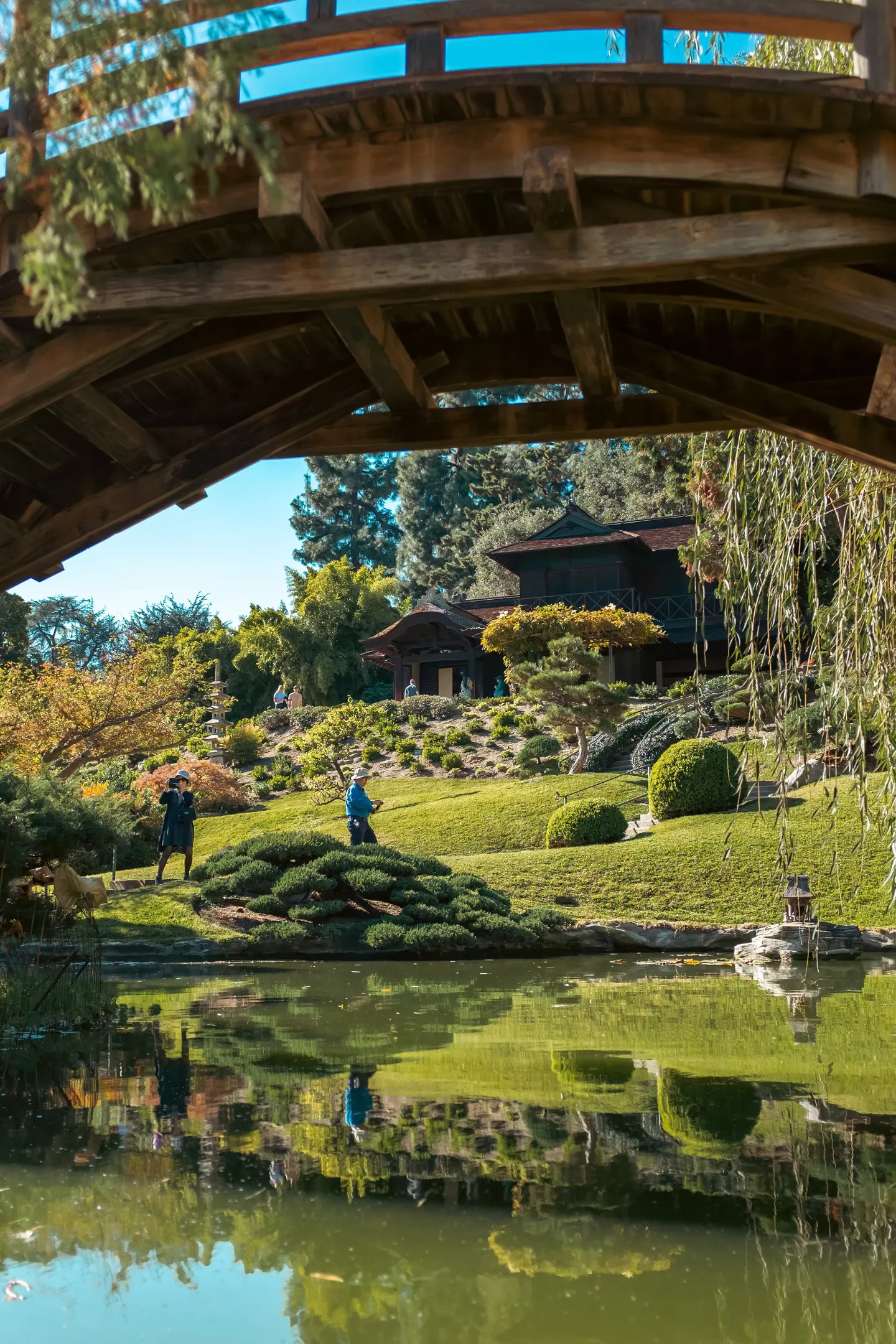 Image in photography gallery