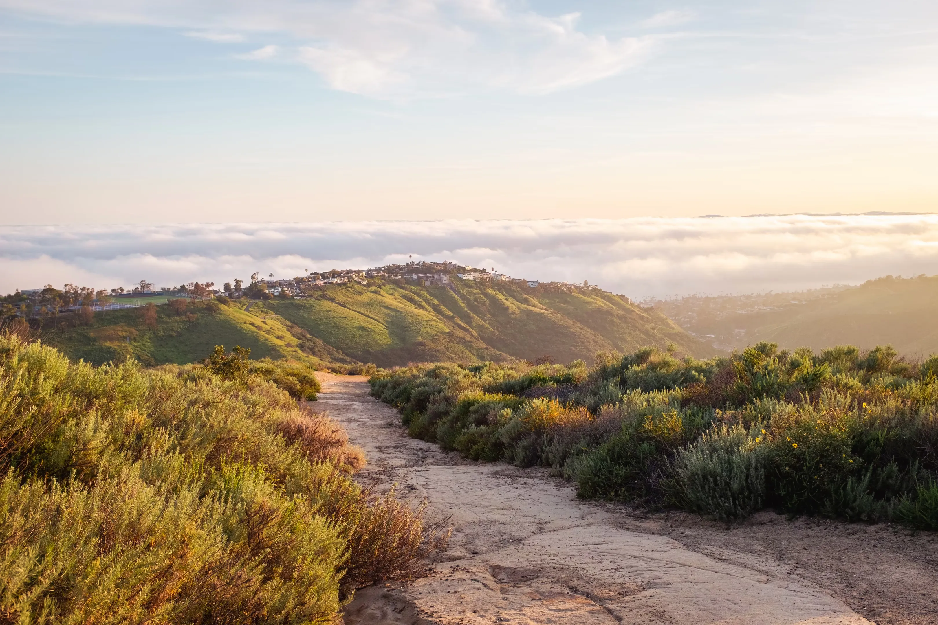 Image in photography gallery