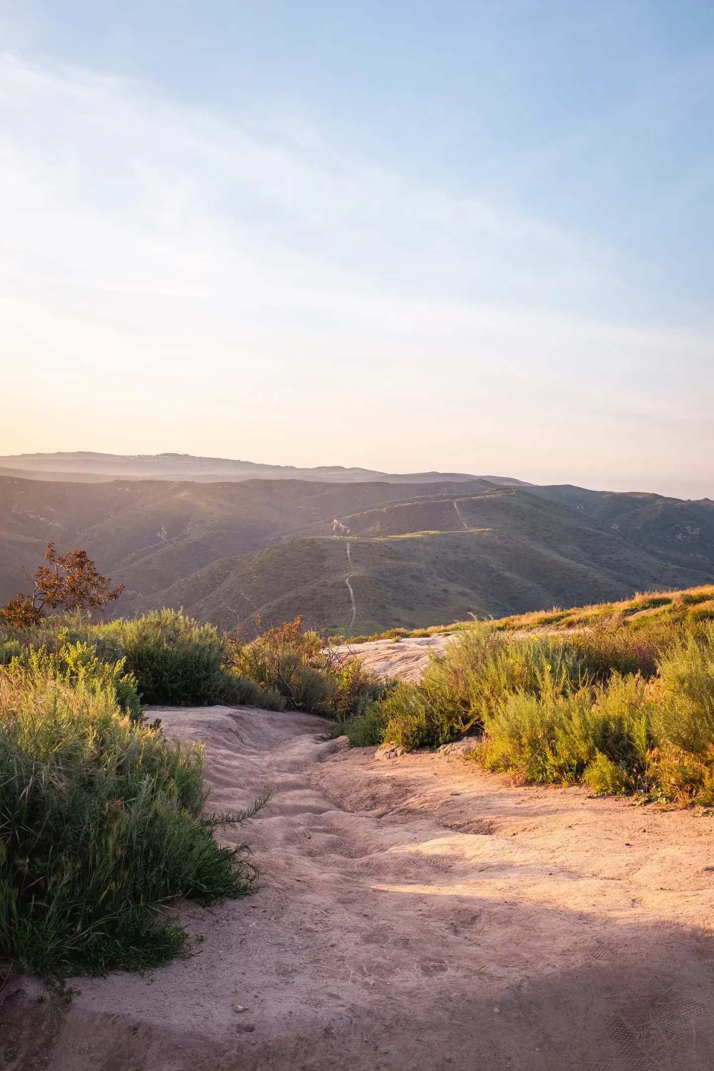 Image in photography gallery